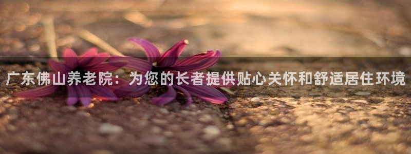 韦德官网在线