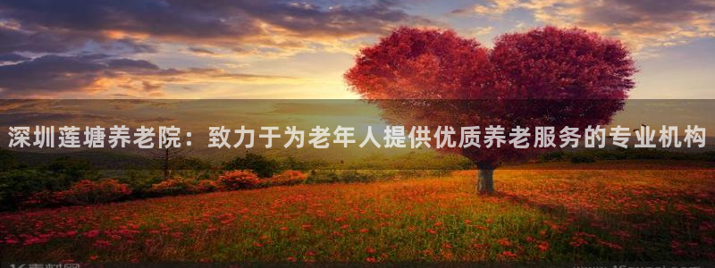 韦德1946体育