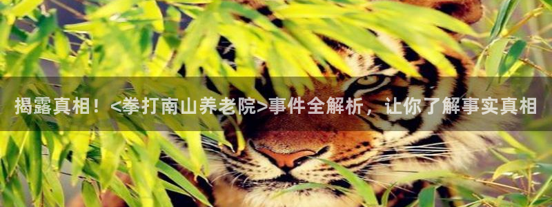 韦德网址是多少