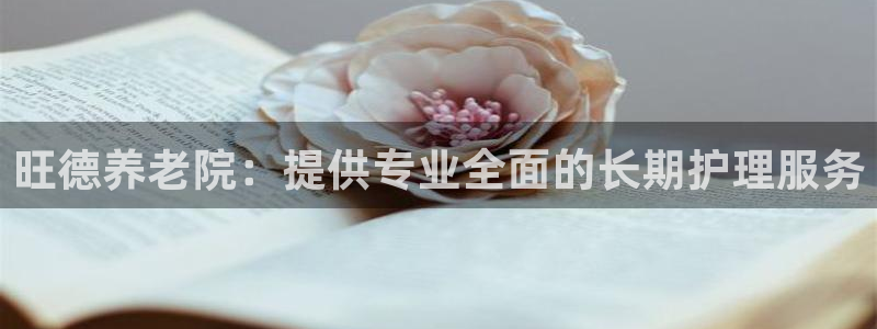 韦德官方网址大全