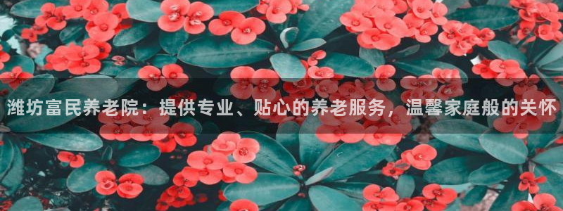 韦德官方网址大全