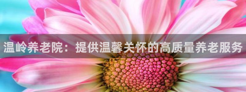 韦德游戏注册要用户口薄