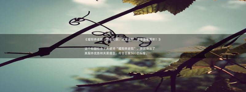 韦德 网站