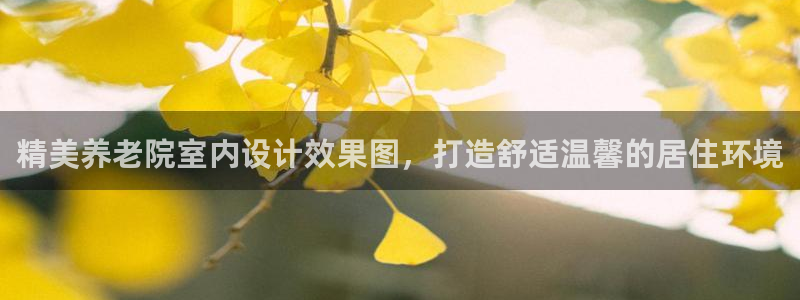 韦德游戏是什么