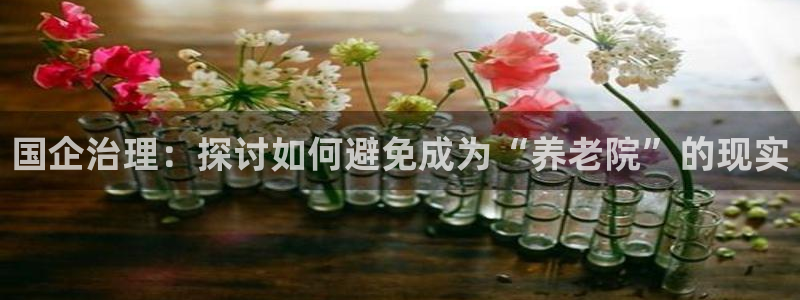 韦德1946手机