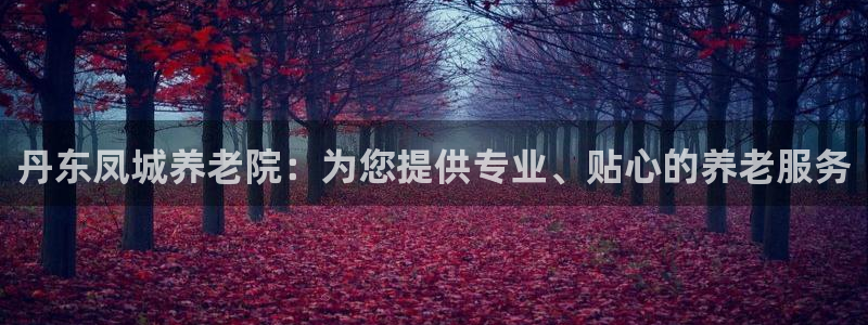 韦德网址