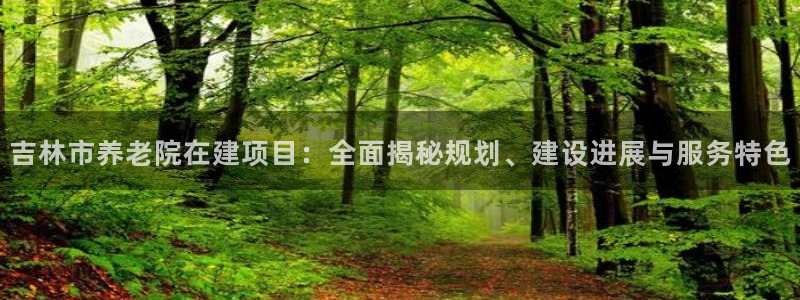 韦德网址是多少