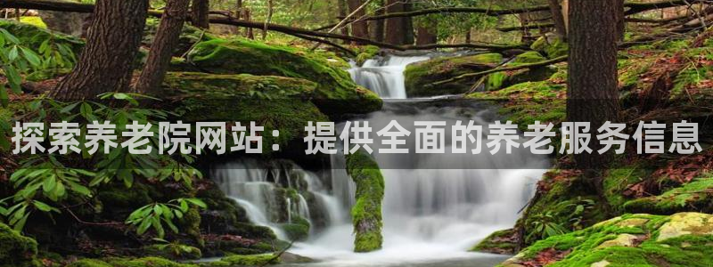 韦德1946始于英国