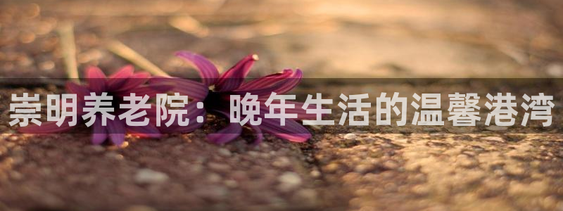 韦德是哪一届