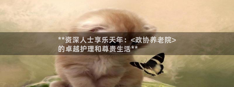 韦德1946游戏