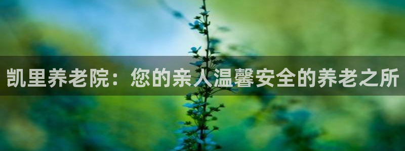 韦德1946最新网站