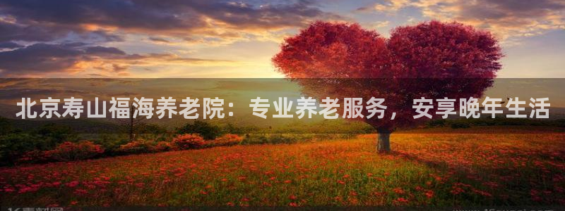 韦德观战总决赛G3