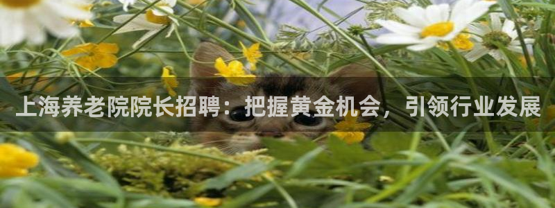 韦德1946博客