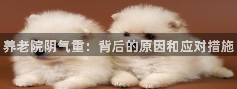 韦德官方网址