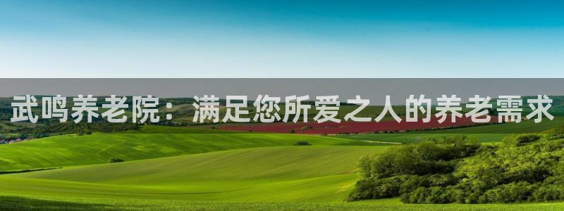 韦德网址是多少