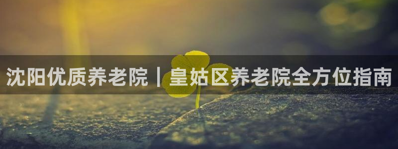 韦德2016