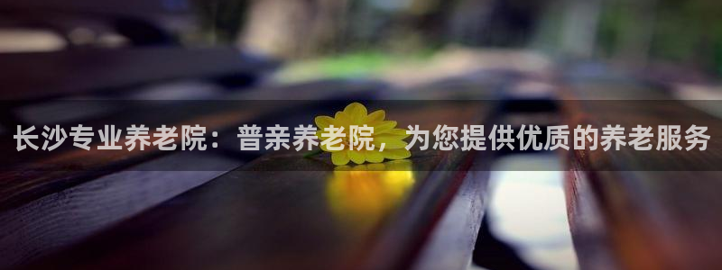 韦德新品