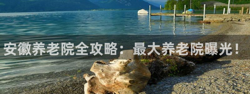 韦德官方下载