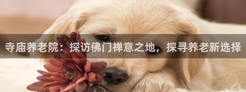 韦德游戏大厅