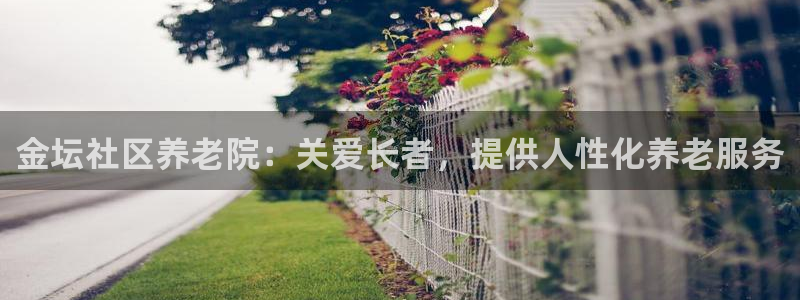 韦德 网站