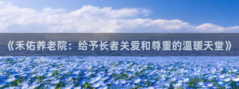 韦德网站是多少