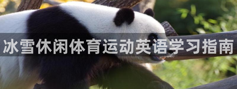 三亿体育网页版