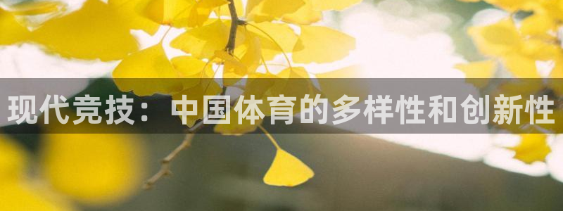 三亿体育网