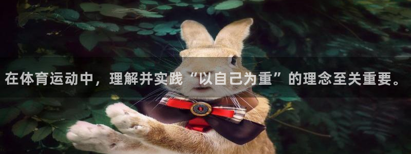 三亿体育网页版