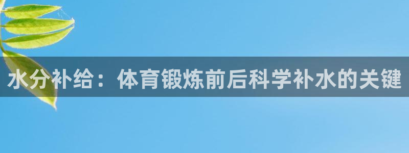 三亿体育网页版