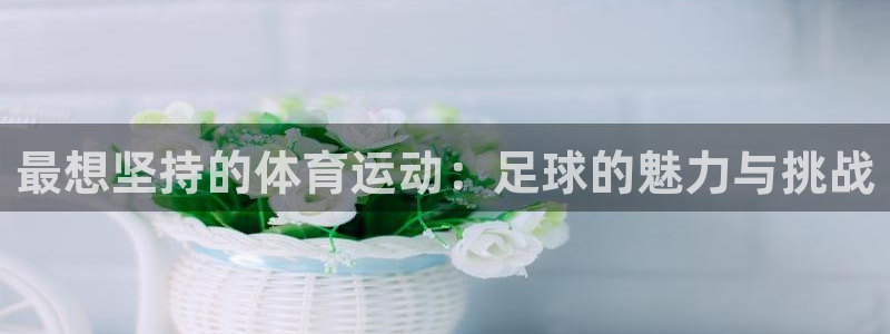 三亿体育网
