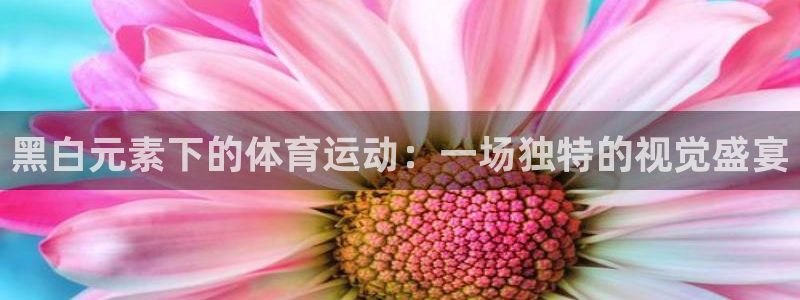 三亿体育
