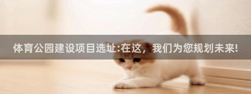三亿体育网