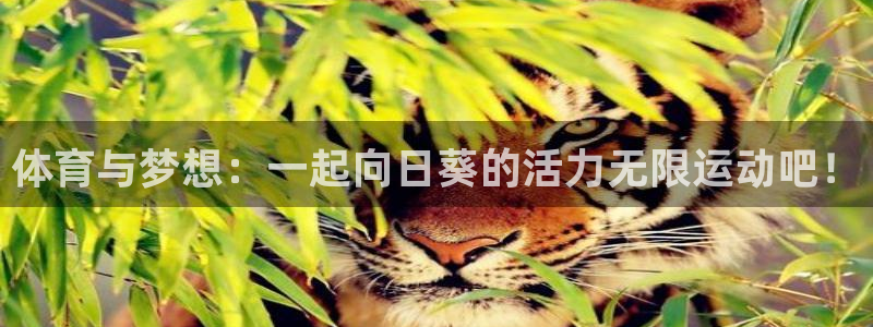 三亿体育登录