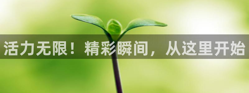 三亿体育网页版